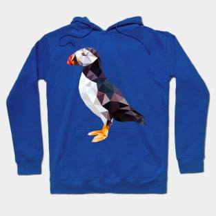 Puffin Bird Hoodie